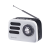 Радиоприёмник DEFENDER Signal 5Вт FM/AM/SW/BT/USB/TF/1200мАч, черно-белый (1/27) Радиоприёмник DEFENDER Signal 5Вт FM/AM/SW/BT/USB/TF/1200мАч, черно-белый (1/27)